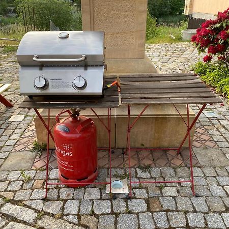 Ferienwohnung Penzlin Im Rittergut Leppersdorf Bei Dresden Wachau Buitenkant foto